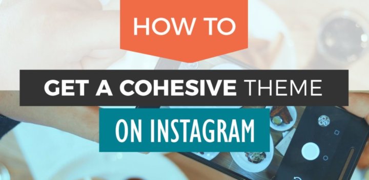 Instagram Feed Goals: How to Get a Cohesive Instagram Feed ... - 720 x 352 jpeg 34kB