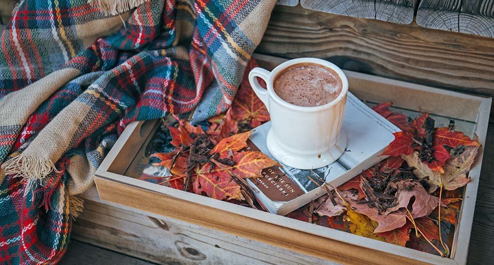 How did I earn nearly $11k travel blogging in one month? And how can you make money travel blogging, too? Find out in my October travel blog income report.