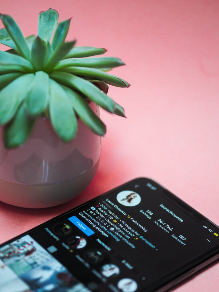 Phone with Instagram open on a pink table with a succulent